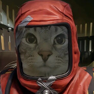 cat's avatar