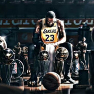 小猫也想吃汉堡