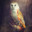Cinder Owl 