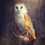Cinder Owl