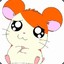 Hamtaro