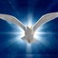 TheHolySpirit