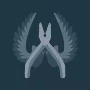 电脑玩家小歪歪