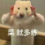 我真不玩黄油
