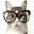 webbles's Avatar