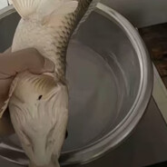 川沙镇捡尸狂魔