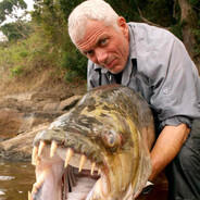 jeremy wade's avatar