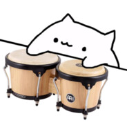 Bongo_Kitty