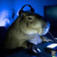 Capygamer