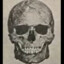 Bardhyll