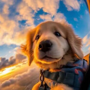 不吃泡面的小孩