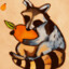 MangoRaccoon