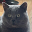 Vincent Vega