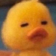 Duck!