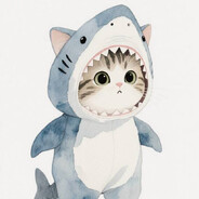 一只可爱的小鲨猫