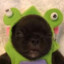 MONNER FROG DOG