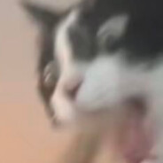 *Eli - steam id 76561199500337807