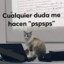 la loca de los gatos 𓃠