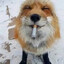 Doggo
