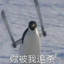 普信男小国