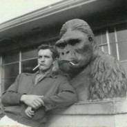 可乐汉堡油麦菜.