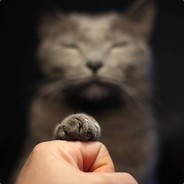 摸摸我的大光头