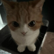 CaptainKeяy - steam id 76561198327803392