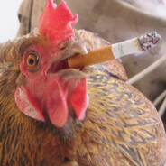 Абузов калыга