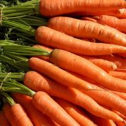 carrots