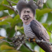 她说我的满配G7没有他的G8厉害