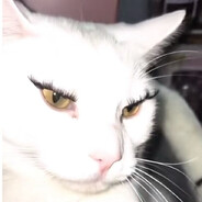 shershun
