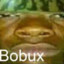 0 bobux