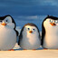 Pingvin