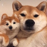 未曾敢想的道路