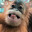 Shteet avatar