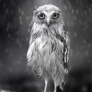 毫无感情咬人贼拉疼的英子