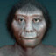 Homo floresiensis