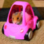 MY HAMSTER RIDING