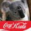 (◉益◉)つPepsikoala drink Coca-Cola