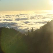 hazard on VACation - steam id 76561197960421096