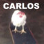 Carlos