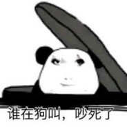 我是龙你是龙吗