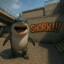 shork!!!