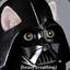 Darth Kattnip