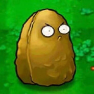 中国队长燕双鹰