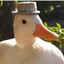 ® Pato ~*