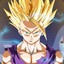 SON GOHAN