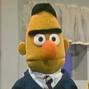 Bert