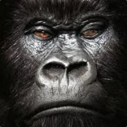 MrWindyCS's Avatar