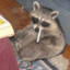 SirRaccoonThe3rd